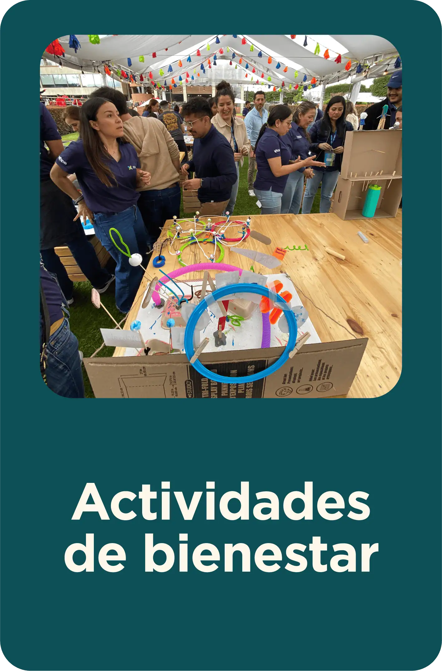 Actividades de bienestar